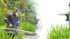 Best Pest Exclusion Services  in Northlake, SC